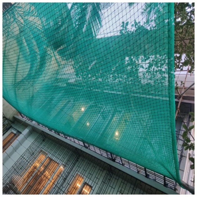 Coconut – Tree Fall Nets