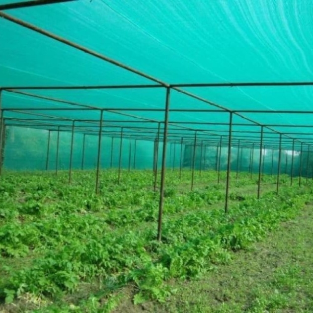 Agriculture – Green House Nets