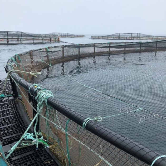 Aquaculture Nets