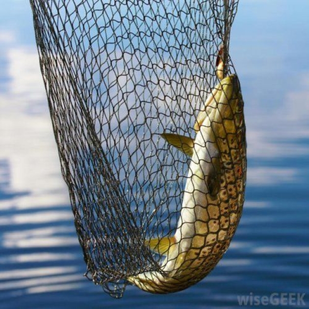 Fishing Nets