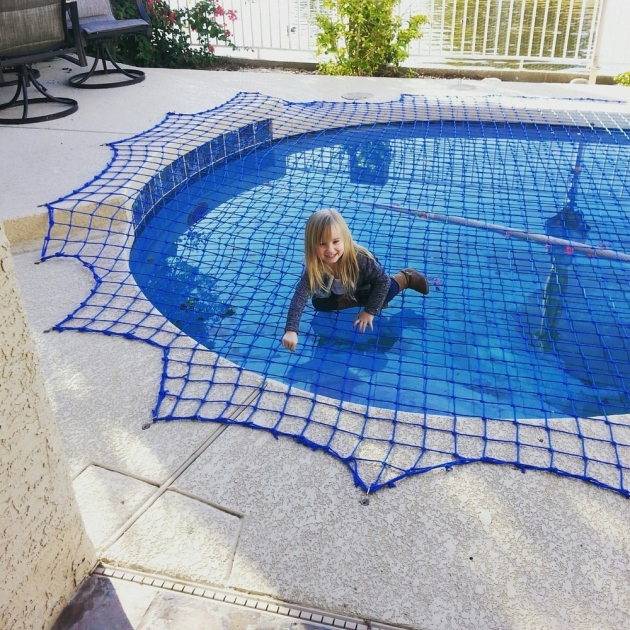 Swimming Pool Nets