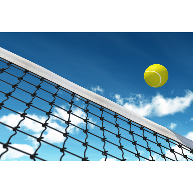 Sports Nets